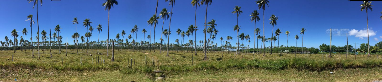 Bờ biển đảo Espiritu Santo, Vanuatu.
